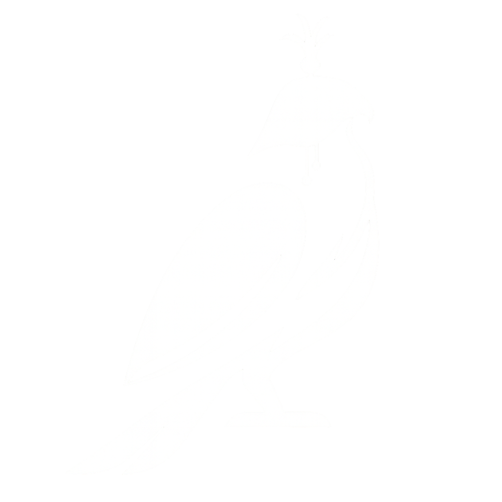 mr-jay-logo-